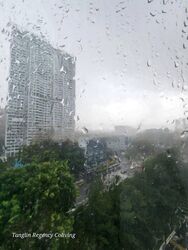 Tanglin Regency (D10), Condominium #465986871